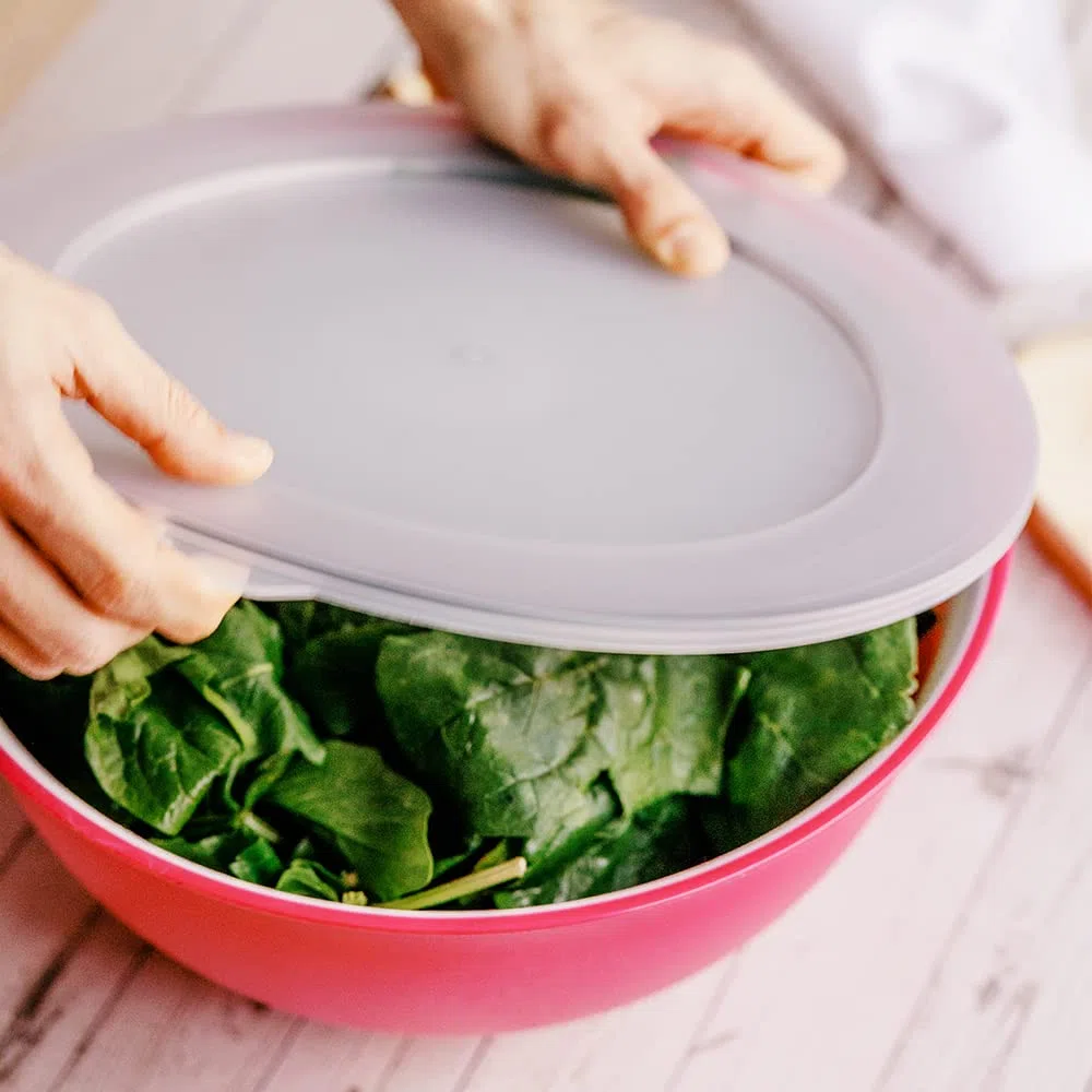 Omada Design Contenitore per Alimenti Grande con Coperchio da 6,5 Lt, Antibatterica, Leggera, Infrangibile, lavabile in Lavastoviglie, Linea Sanaliving