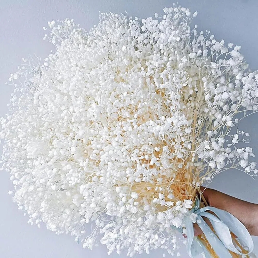 NatureMan Bouquet di fiori secchi per bambini, 43 cm, 100% Natrual Gypsophila ramoscelli per decorazione della casa, foto, accessori di scena e matrimoni, decorazioni fai da te (sbiancate)
