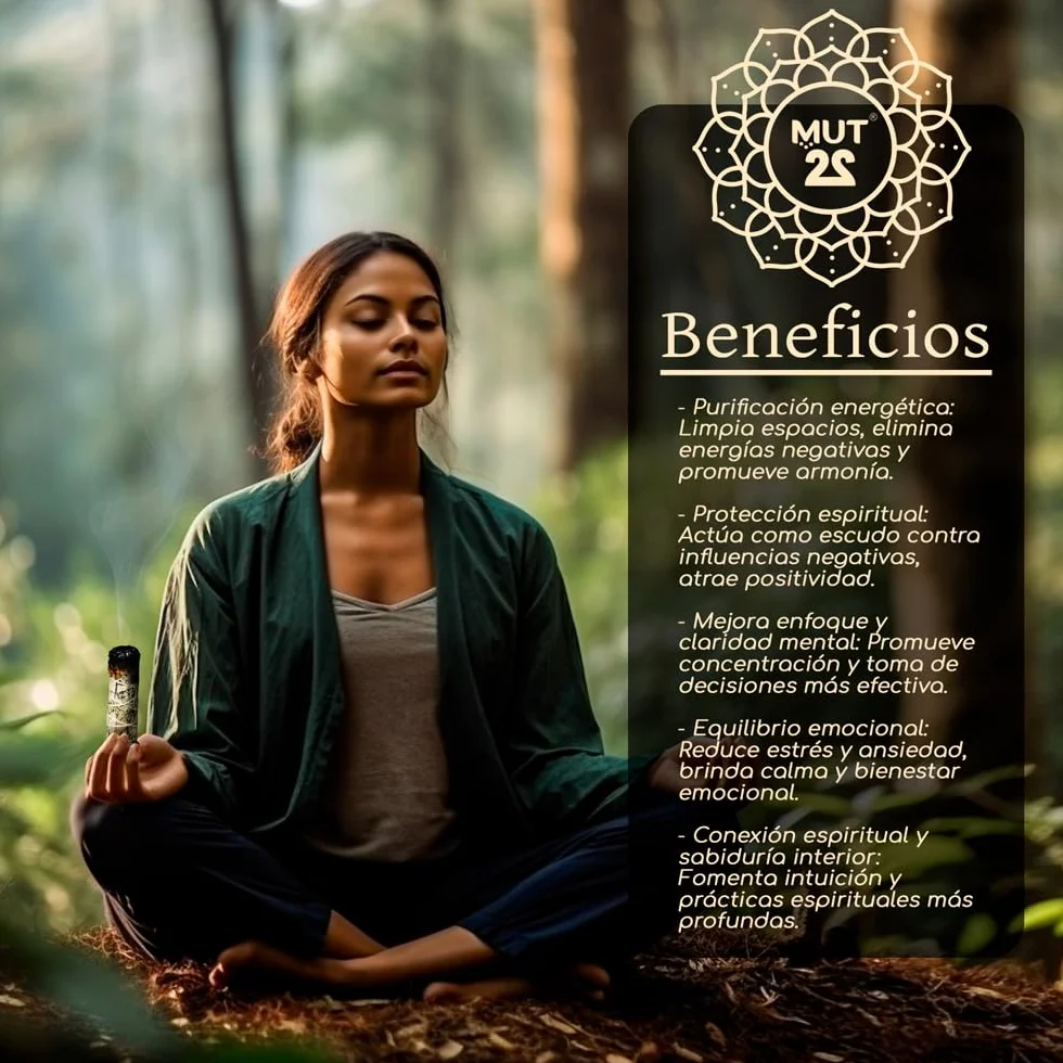 5 Salvia Bianca 10 cm Sacra da Bruciare, Erba di Purificazione e Armonia, Salvia Apiana 100% Naturale, Ideale per la Pulizia Spirituale e i Rituali Energetici