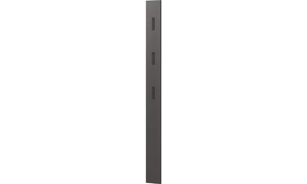 Germania Pannello appendiabiti da parete in graphite 3728-547, con 3 ganci retrattili in metallo, 15 x 170 x 3 cm (L x A x P)
