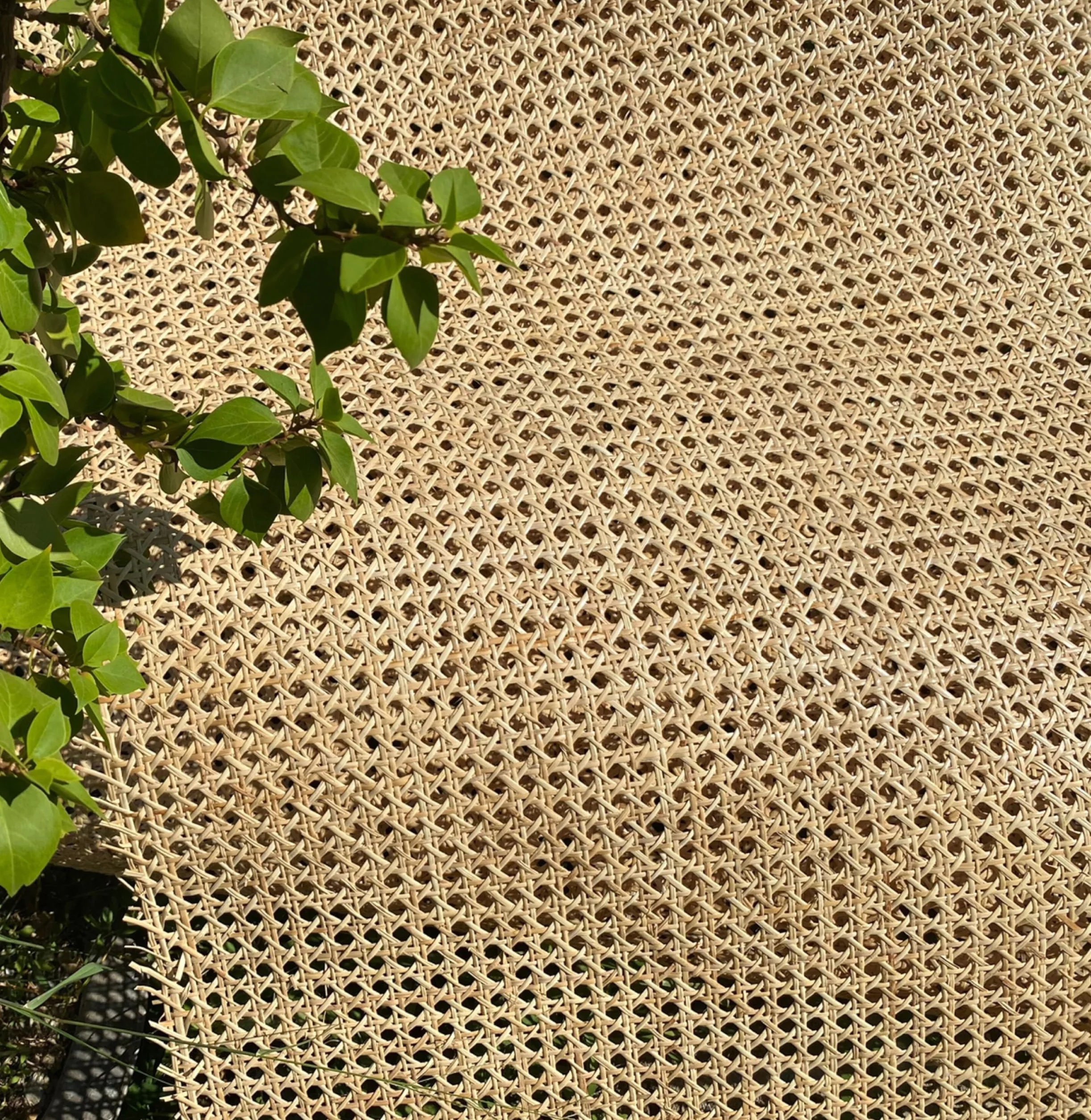 Paglia di Vienna Naturale 45 x 300cm, Rattan Rotolo, Rattan, Paglia di Vienna per Sedie, Paglia di Vienna Rotolo, Paglia di Vienna al Metro, Paglia per Sedie Rattan, Rattan Materiale, Rattan Mobili