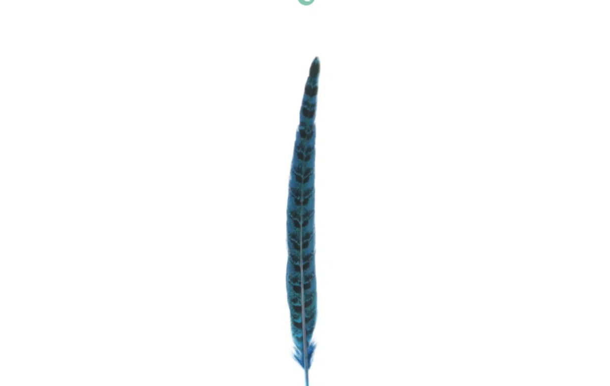 20 piume di fagiano – 25 – 30 cm – Piume di fagiano naturale per bricolage, piume di pollo, per artigianato, acchiappasogni, carnevale, piume, maschera per matrimoni, feste, colore blu