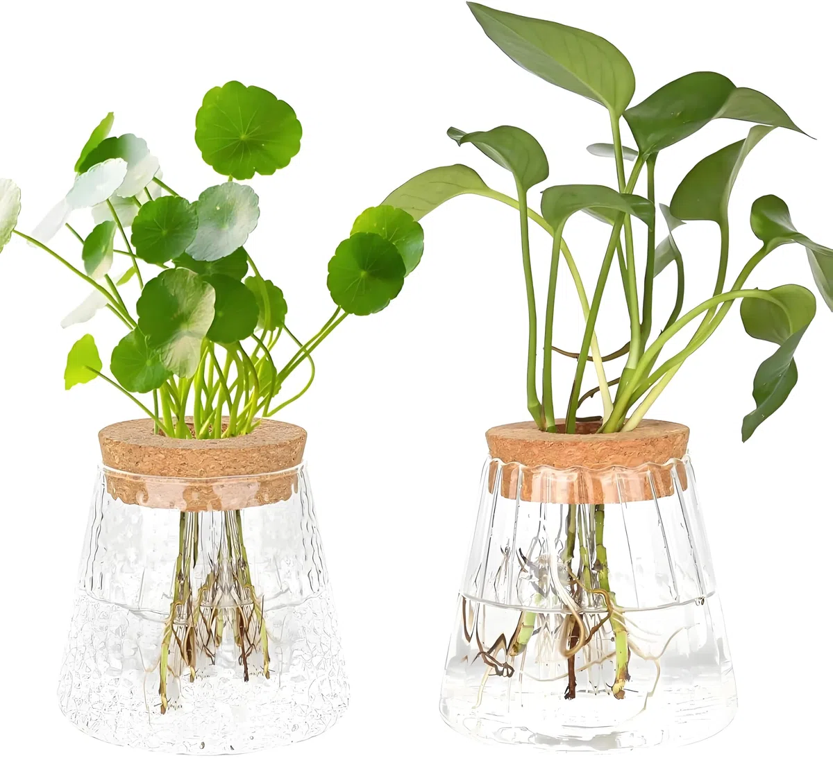 2 pezzi per piante idroponiche, terrario, vintage, piccoli vasi per decorazione da tavolo, vaso in vetro propagazione stazione a sfera per piante da appartamento, piante idroponiche