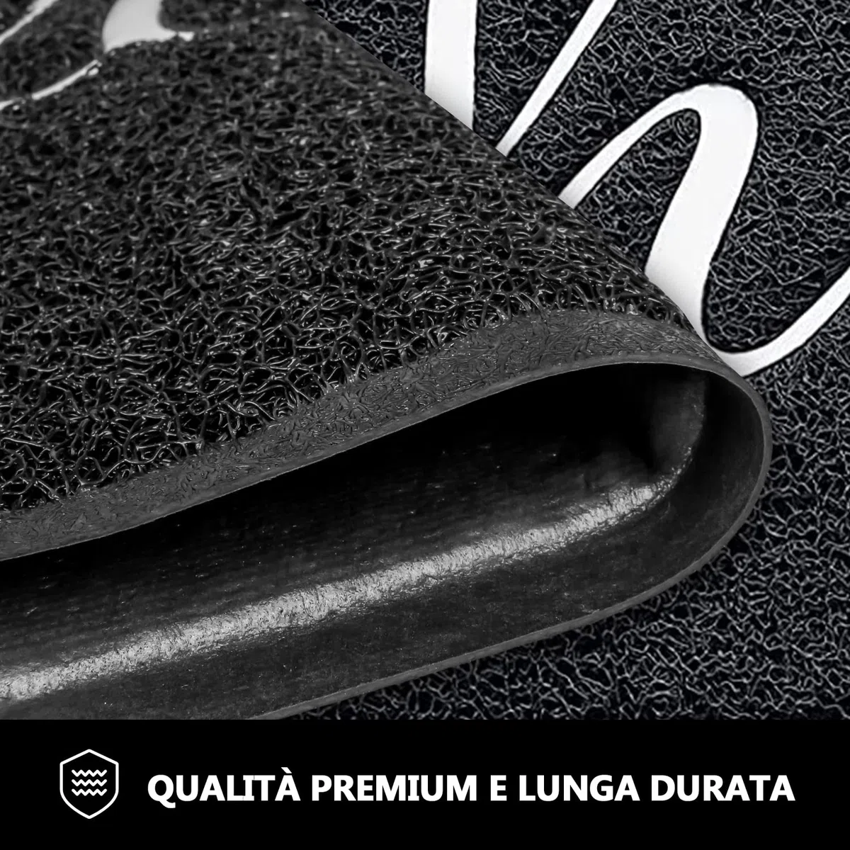 Esterno Interno Tappeto Ingresso casa con Scritta Welcome, Antiscivolo Assorbente Resistente allo sporco Cucina Asciugapassi Entrata