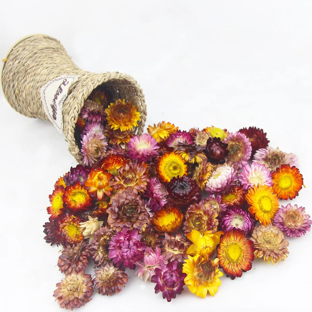 60 Pz Fiori Secchi Teste Fiori di Gerbera Crisantemo Naturale Vera Margherita Girasoli Composizioni Fiori Secchi per Decorazioni di Nozze Bomboniere Resina Candele Album Regalo Fai Da Te