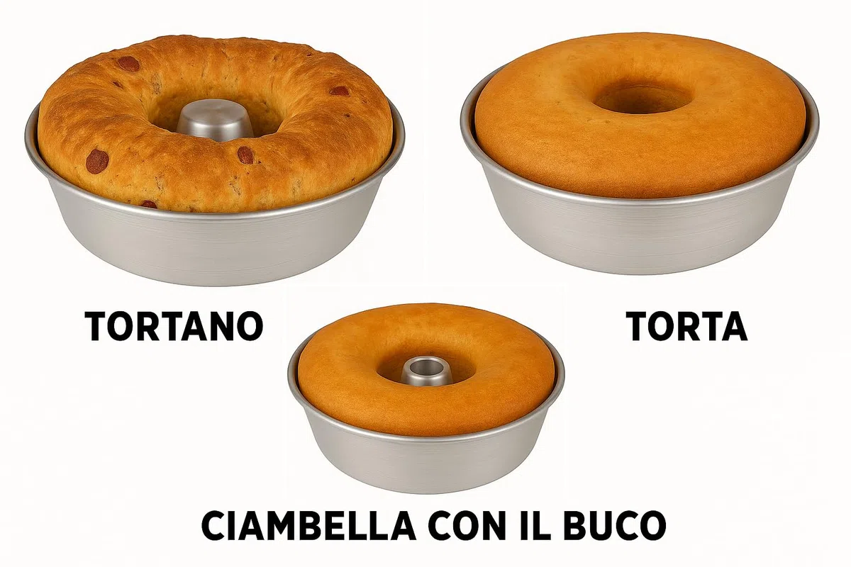 Generico Set 3 Stampi da Forno in Alluminio 99,5% con Cono Centrale – Teglie Ciambella Ruoto Torte Rustiche e Casatiello – Diametri 24cm, 26cm, 28cm – Antiaderenti, Resistenti e Facili da Pulire