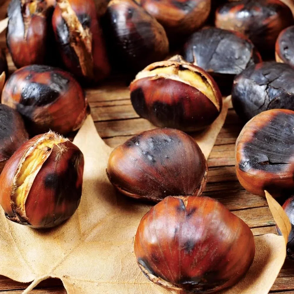 PALUPLUS Padella per Caldarroste, Diametro 26 cm, Salta Castagne con Manico Rosso Verniciato, Padella Forata Arrostacastagne -7262