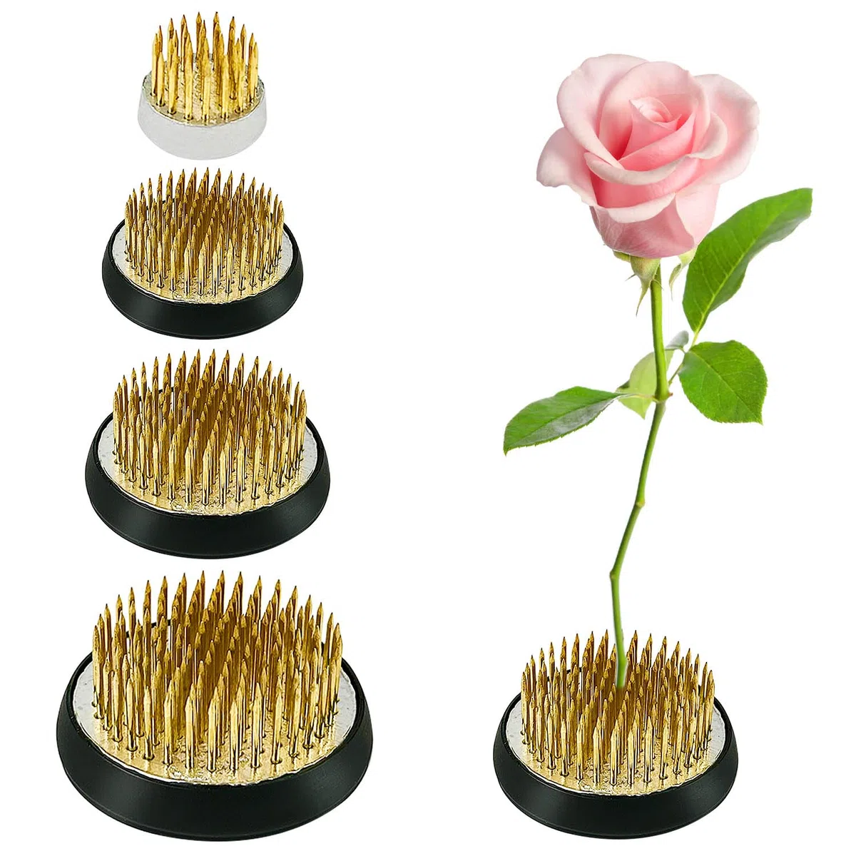 4 Pezzi Ikebana Kenzan, Rotonda Flower Ffrog, Acciaio Inossidabile Perno Disposizione Fiori, Disposizione dei Fiori Pin, Rana Fiore Adatto per Giardino Negozio Fiori Sala tè Soggiorno (23/34/40/50mm)