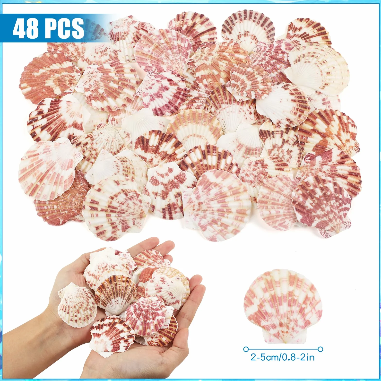 48 Pezzo Conchiglie di capesante Conchiglia Naturale, 3CM - 5CM Bianche e Rosa gusci di capesante Piccole Conchiglie per Decorazione di Nozze Beach Tema Party, Vaso Filler