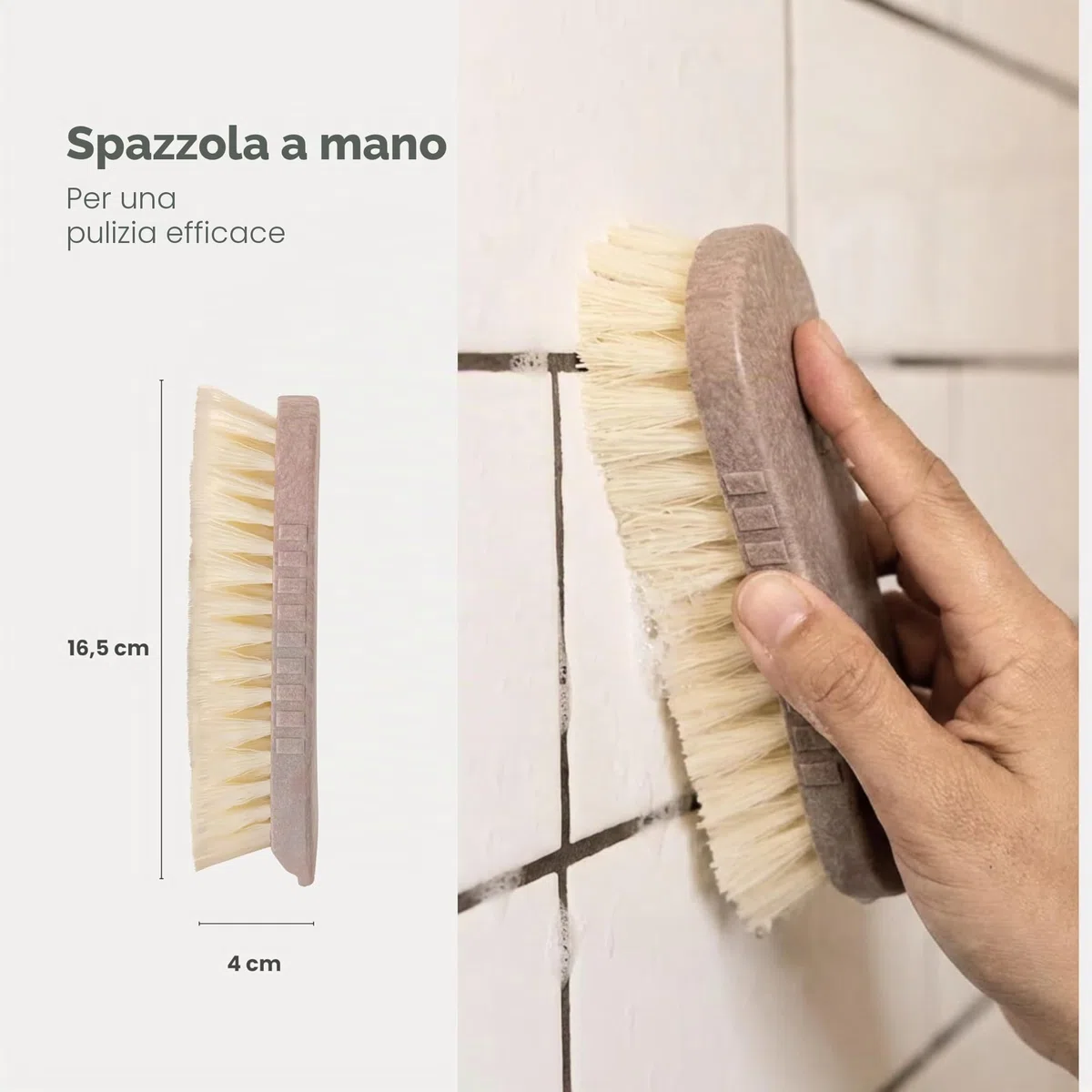 VIGAR Spazzola Multifunzione per la Pulizia con setole dure e Resistenti, Marrone, Piccola