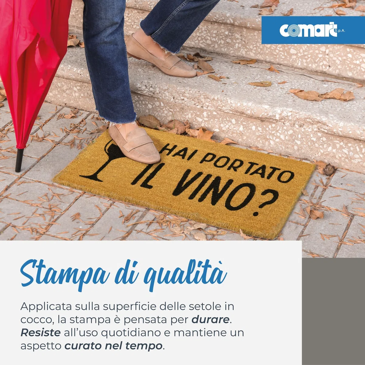 Comart - Zerbino Gag in Cocco - 40x70 cm - Tappetino Simpatico con Scritte Divertenti - per Ingresso Esterno e Interno - Fondo Antiscivolo - Pulizia Facile - Arredo e Regali Casa - Hai il Vino