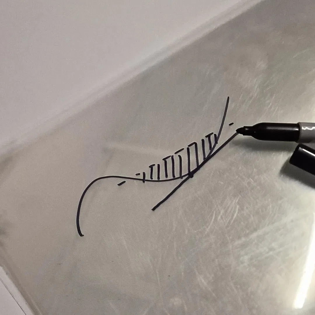 Fogli di acetato trasparente, resistenti, formato A4, 480 micron