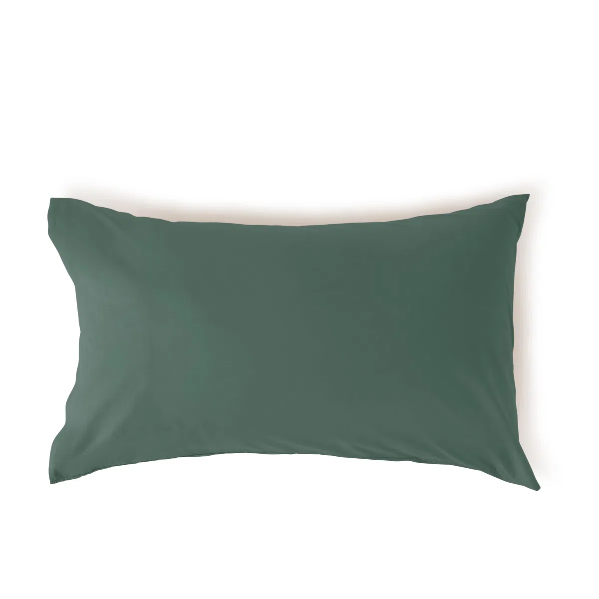 Bassetti Set 2 Federe, Salvia, 100% Cotone, 50X80 cm, Federa Cuscino Letto Morbida, Coppia Di Federe, Lavabili In Lavatrice
