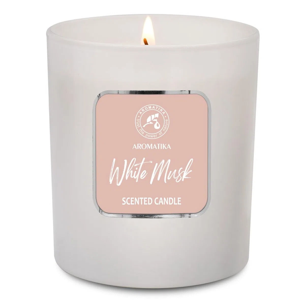 Candela Profumata di Muschio Bianco 200g - Candela Alla Cera di Soia - Candele Profumate per la Casa - Aromaterapia - Candela Regalo - Idea per il Compleanno - Natale
