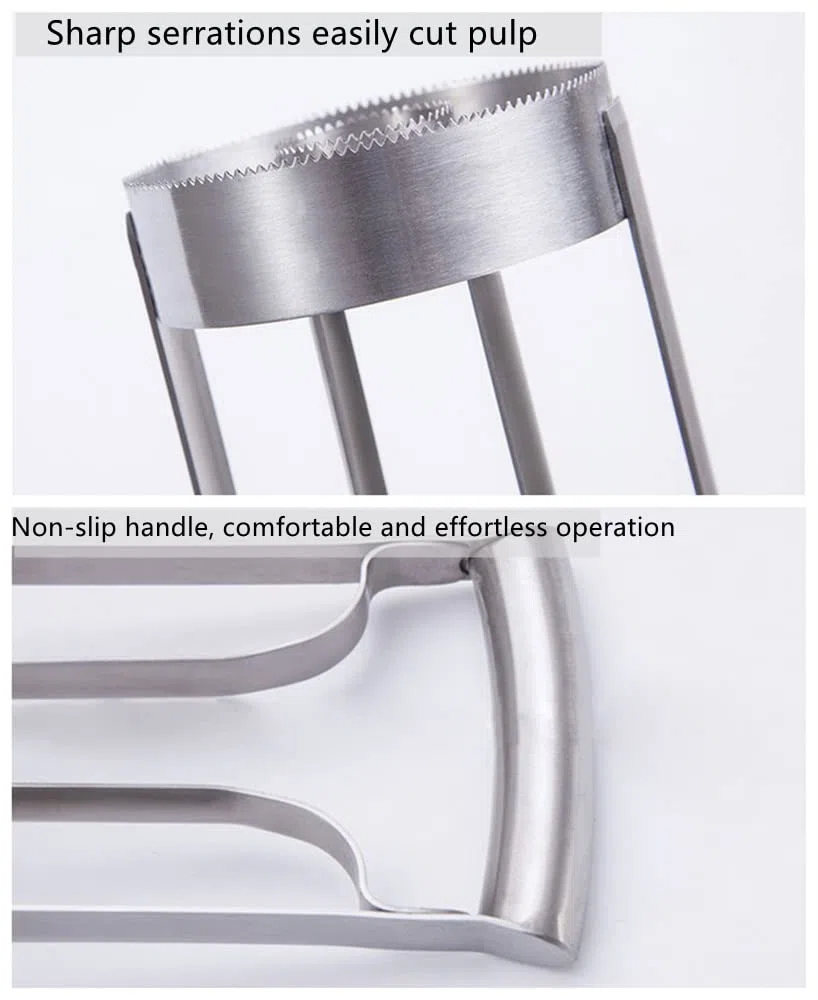 Ananas Corer in acciaio inox, aggiornato, rinforzato, più spesso, lama di peeler Premium ananas Cutter Corer frutta affettatrice strumento da cucina