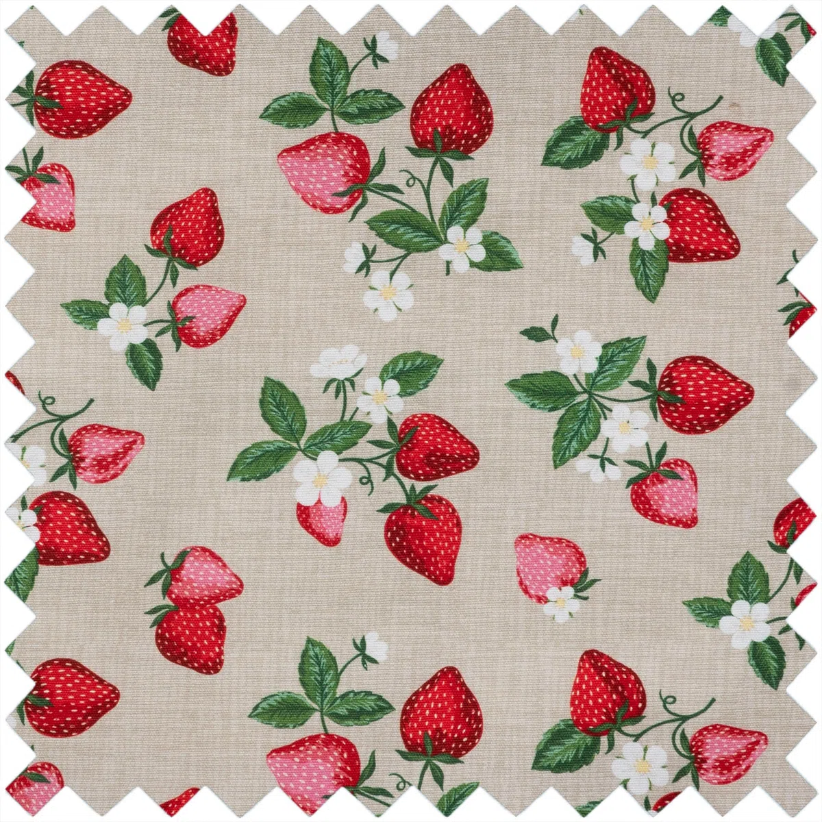 Hobby Gift Borsa per Macchina da Cucire - Borsa Imbottita Resistente con Chiusura a Zip, Borsa Grande Impermeabile per Trasporto e Accessori da Cucito - 20 x 44 x 38 cm, Fragole