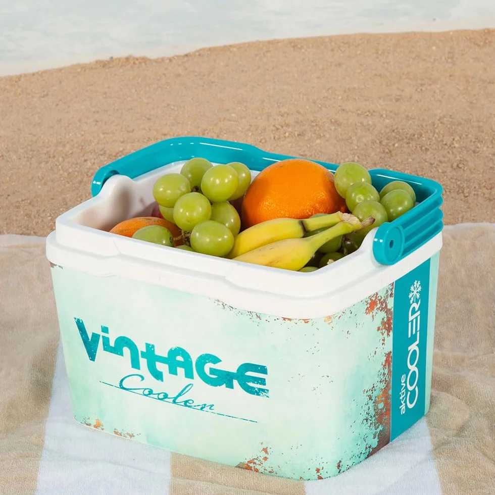 AKTIVE Borsa frigo rigida da 5L, Stile classico, Plastica resistente, Isolamento in poliuretano superiore, Mantiene il fresco fino a 15 ore, Coperchio con chiusura sicura, Design blu (62392)