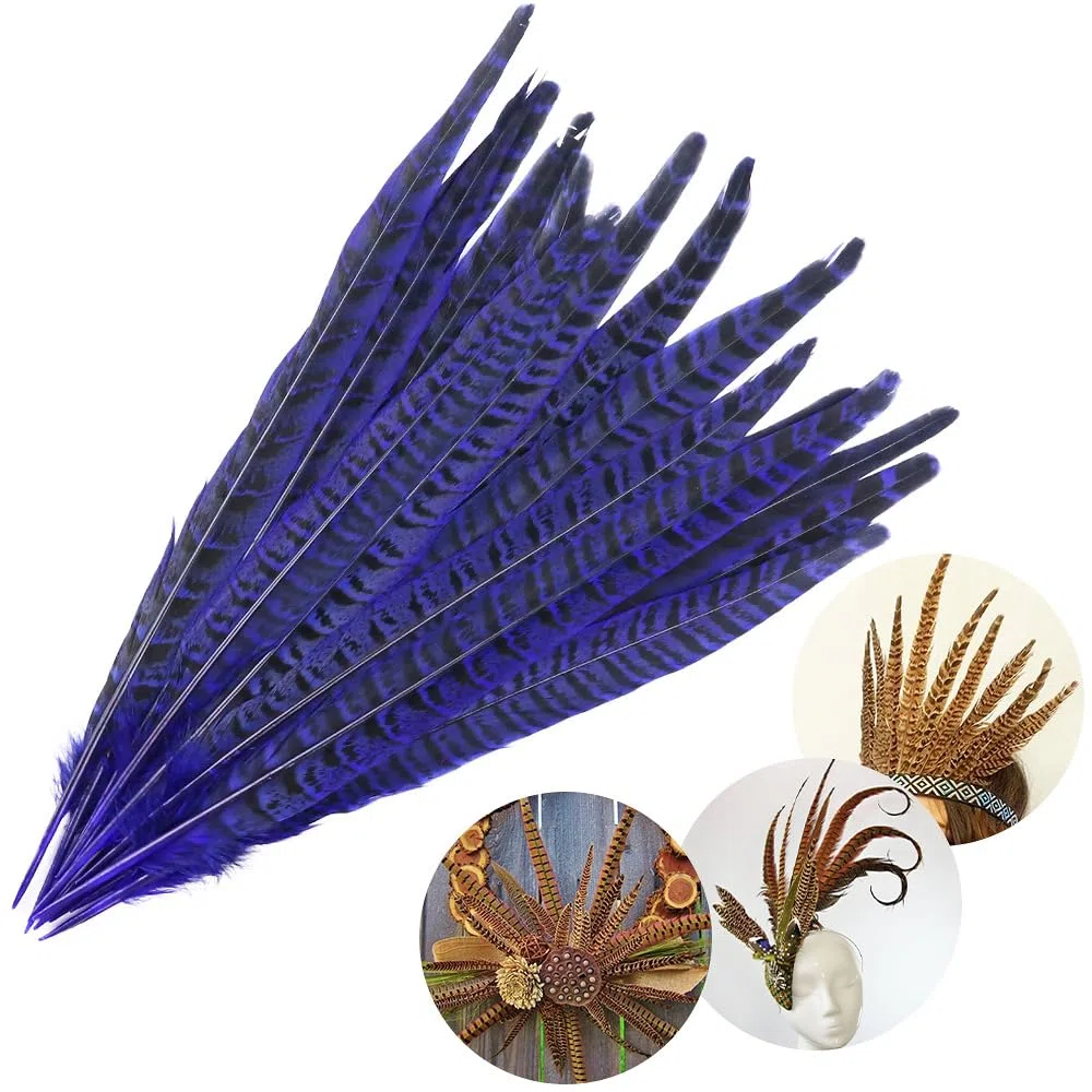 20 piume di fagiano – 25 – 30 cm – Piume di fagiano naturale per bricolage, piume di pollo, per artigianato, acchiappasogni, carnevale, piume, maschera per matrimoni, feste, colore blu