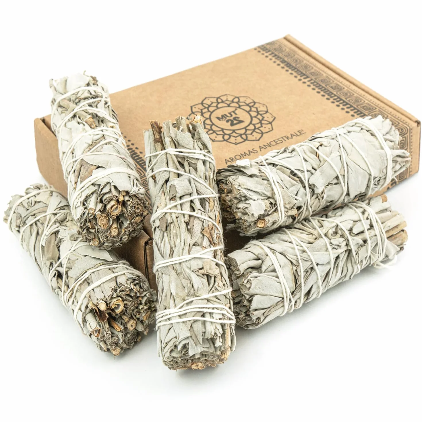 5 Salvia Bianca 10 cm Sacra da Bruciare, Erba di Purificazione e Armonia, Salvia Apiana 100% Naturale, Ideale per la Pulizia Spirituale e i Rituali Energetici