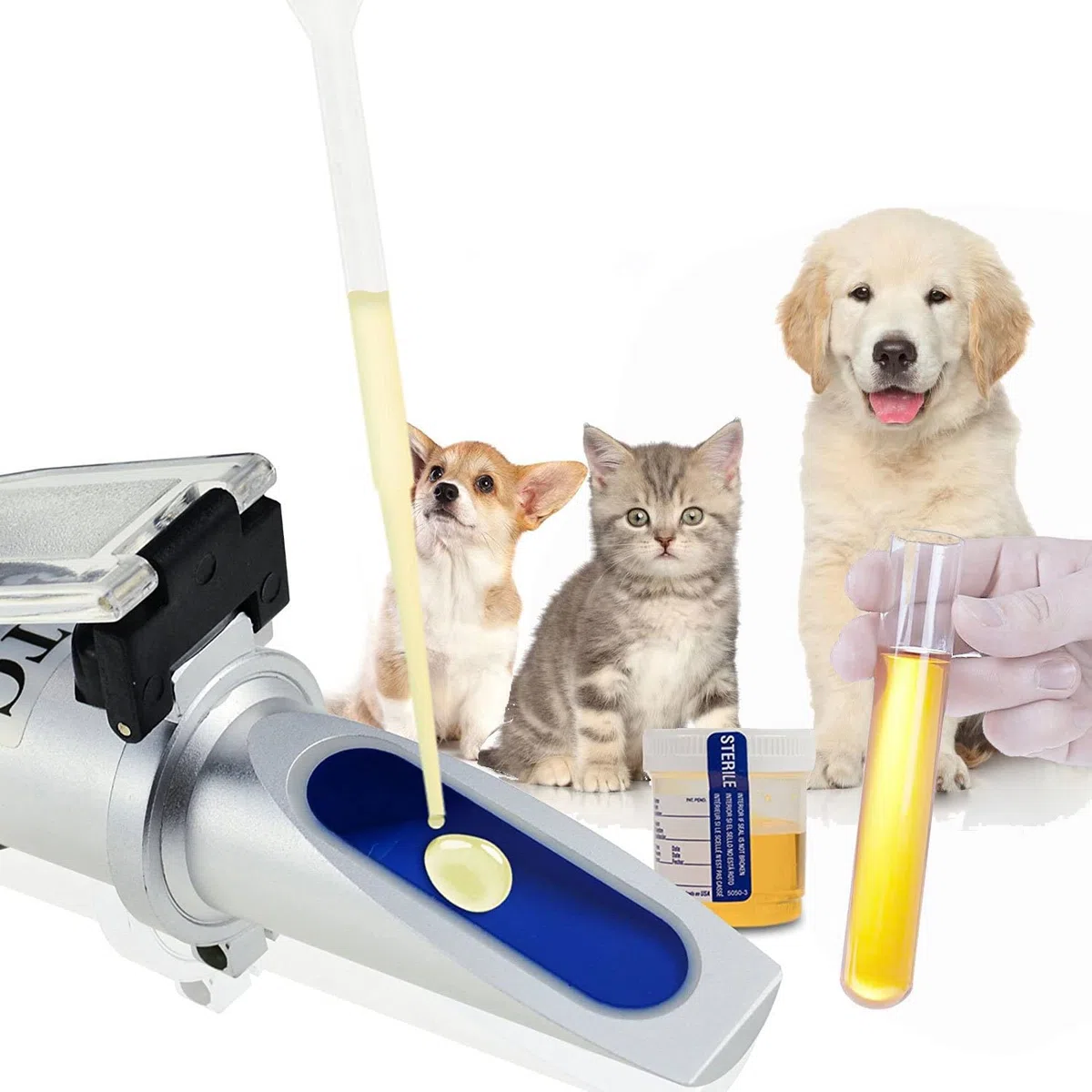 RGBS Rifrattometro clinico per cani e gatti, per animali domestici (1,000 ~ 1,060) con test di proteine del siero o del plasma (2 ~ 14 g/100 ml) per gatti veterinari, cani, animali domestici