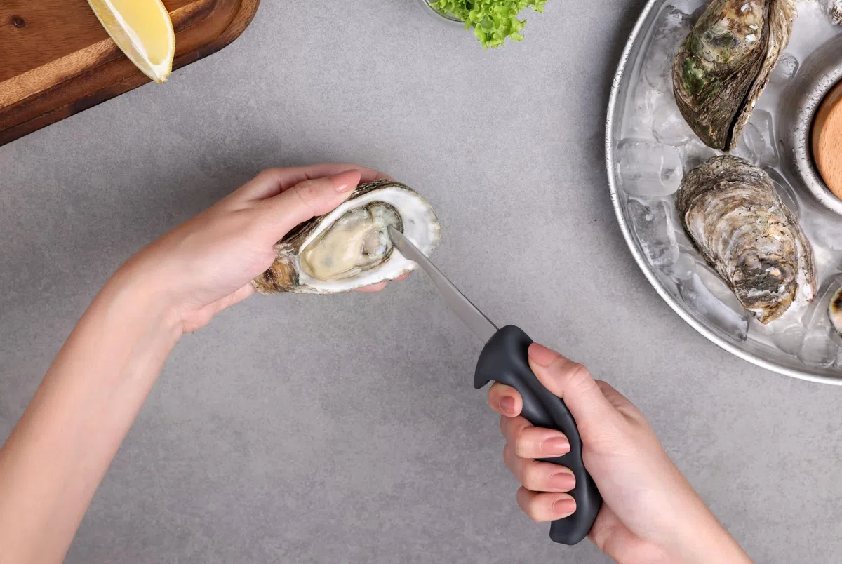 zyliss Shucker Paddy Coltello per Ostriche Professionale 7,9 cm, Apri Ostriche, Acciaio inossidabile, Protezione per le Dita, Manico in Plastica con Impugnatura a Pistola, Coltello per Frutti di Mare