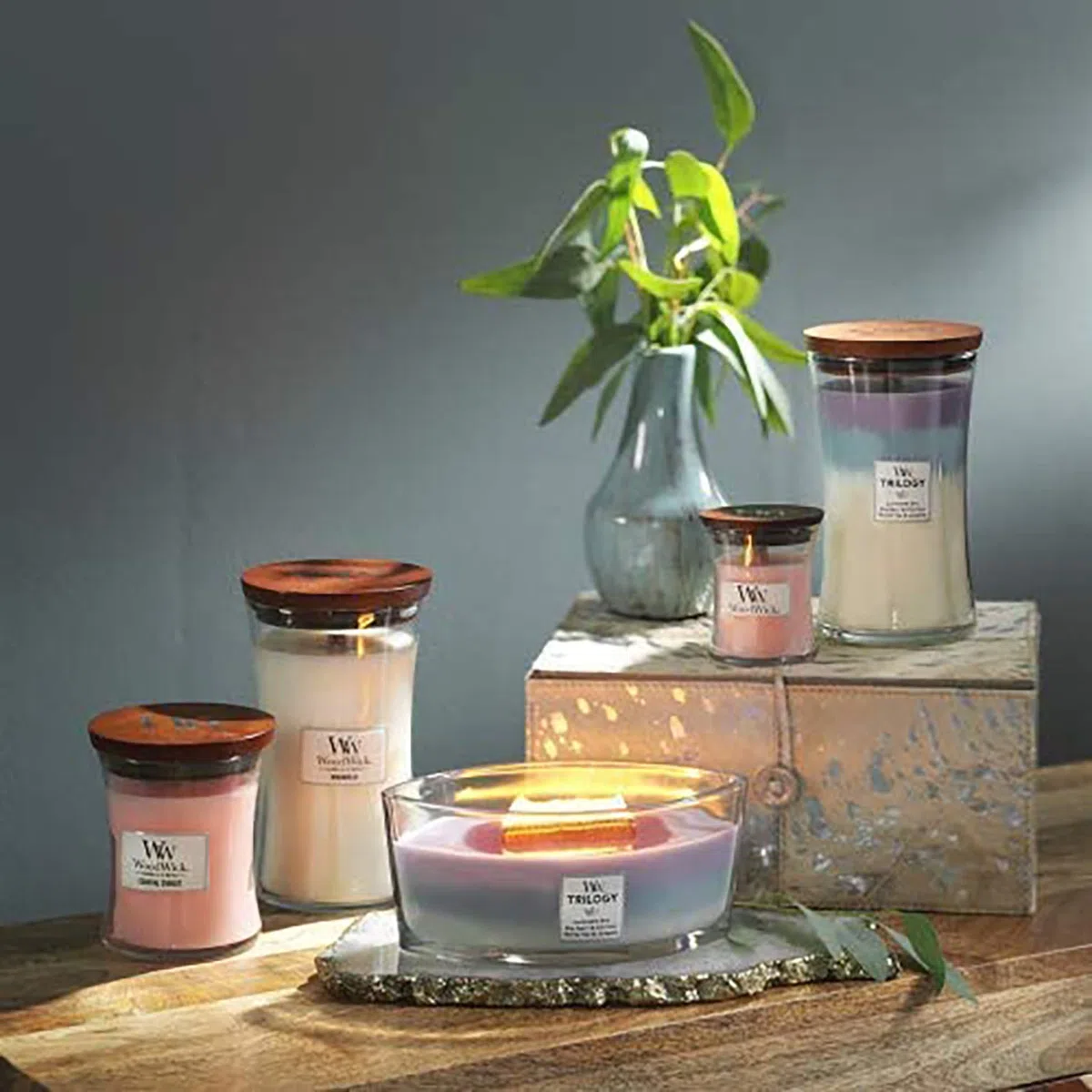 WoodWick Ellipse Trilogy candela profumata con fiamma HearthwickRifugio di pace