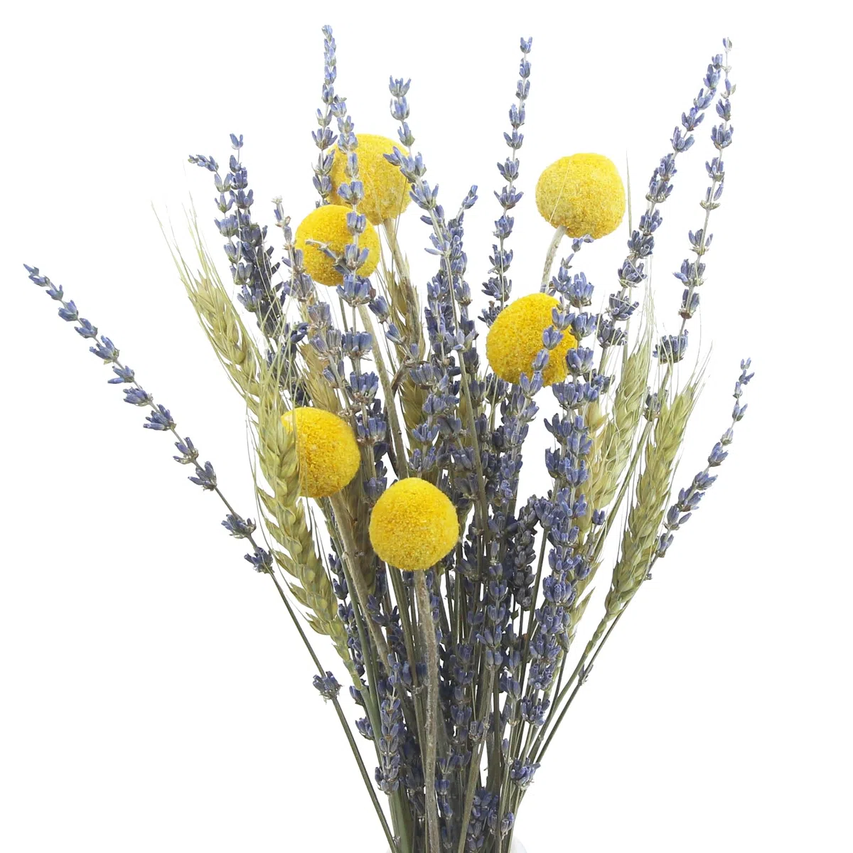 Spighe di Grano Essiccata Fiori Secchi Decorativi per Vaso Naturali Fiori di Lavanda Composizione Fiori Secchi Bouquet per Matrimoni Camino Casa Cucina Chiesa Tavolo Feste Decorazione
