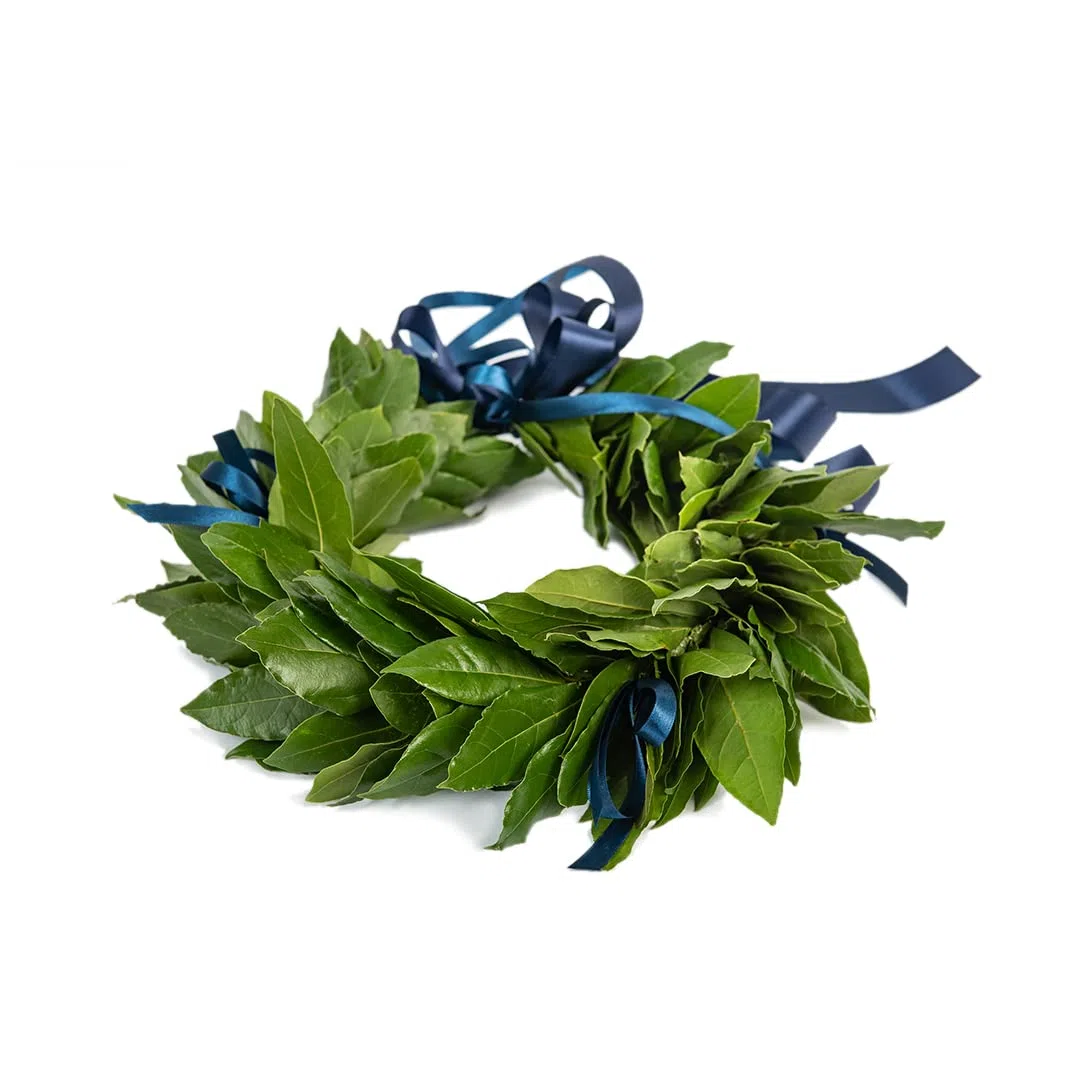Corona di alloro fresca Royal fatta a mano in Italia | Corona lauream con foglie naturali e fiocco in raso | Tradizionale corona d’alloro per cerimonia laurea e festeggiamenti | Royal blù