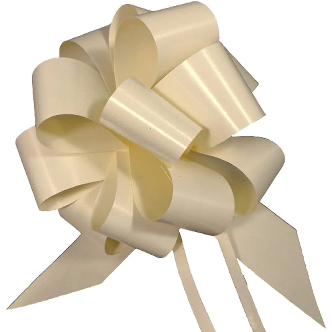 Nastri 50 Coccarde Granfiocco Grandi da Antenna per Matrimonio (Avorio)