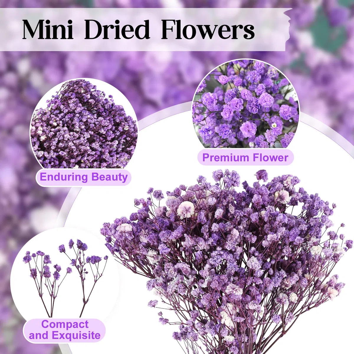 100 Pezzi Essiccata Nebbiolina Secca, Multi Bocciolo di Fiore Gypsophila, Nebbiolina Gypsophila Fiori, Fiori Secchi Naturali per Cornici Fai da Te, Segnalibri, Biglietti di Auguri (Dark Purple)