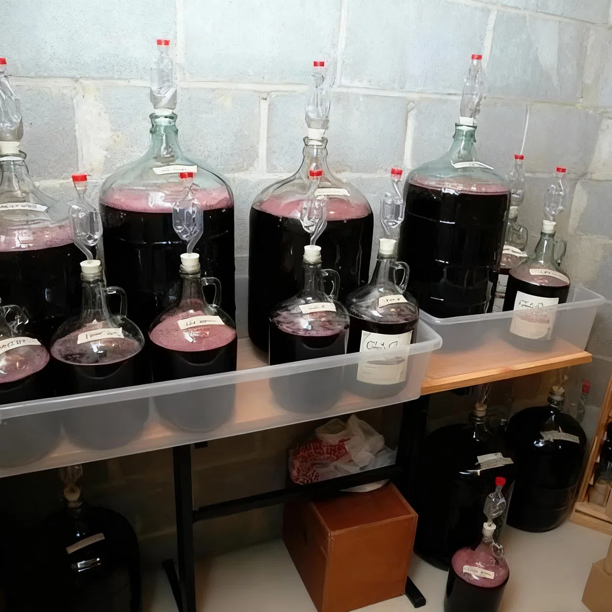 4 Pezzi Gorgogliatore Fermentazione, Airlock Trasparente, Gorgogliatori per Fermentazione, Gorgogliatore con Tappi in Gomma, per Produzione di Birra, Vino, Succo, Sottaceti, Crauti, Resistente