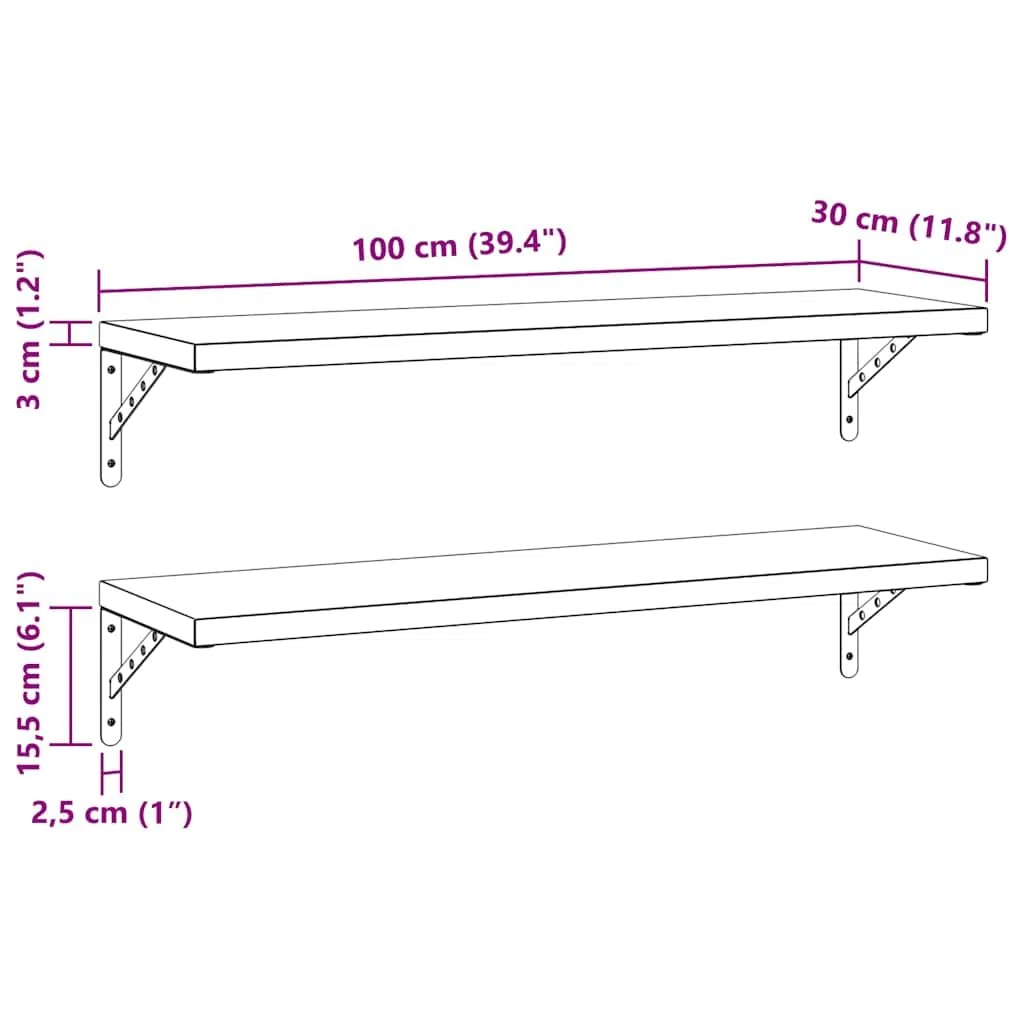 vidaXL Mensole a Muro 2 pz 100x30 cm Argento in Acciaio Inossidabile, mensola sospesa, mensola sospesa a Muro, scaffale espositivo a Muro