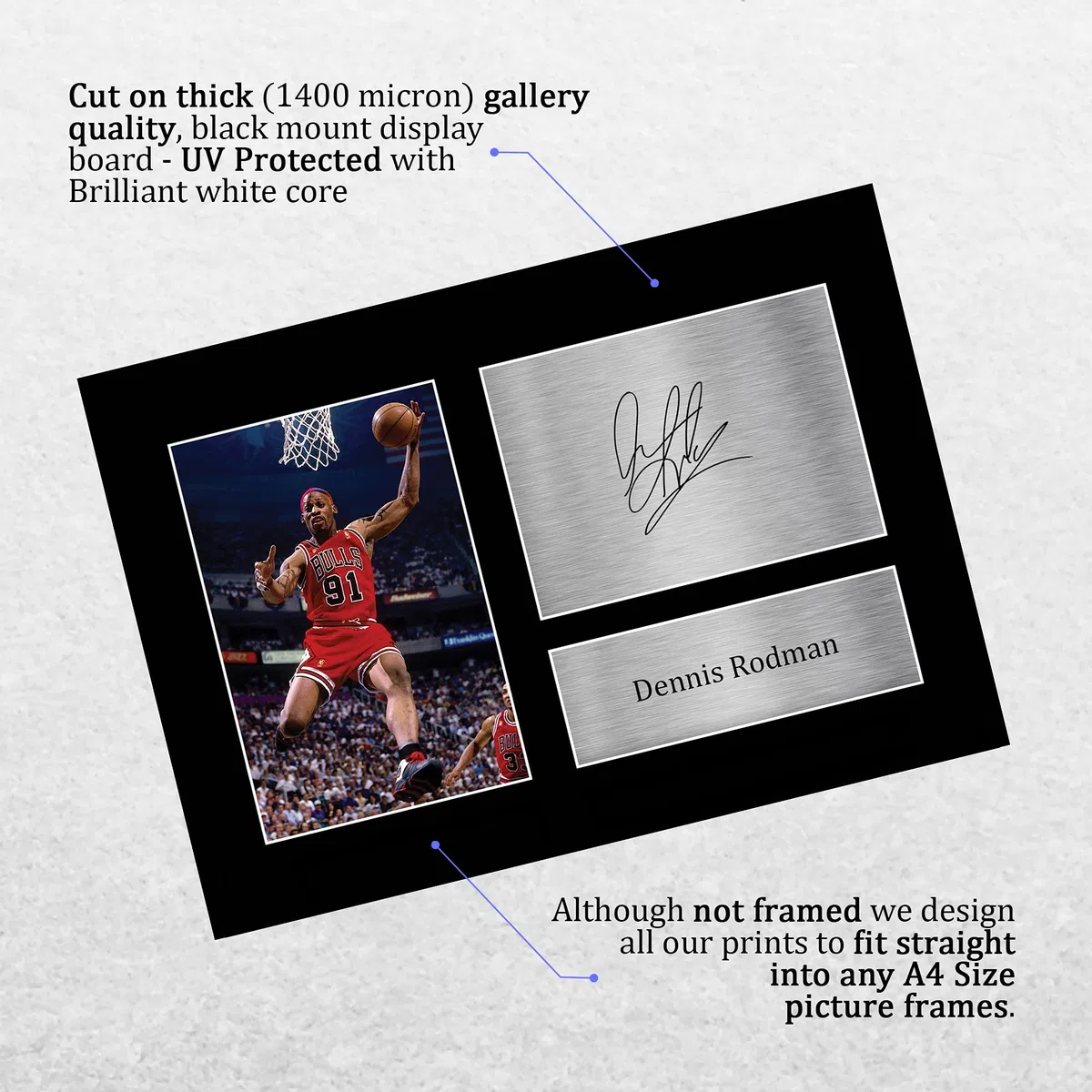HWC Trading Dennis Rodman Chicago Bulls Regali stampati con foto autografata per gli appassionati di cimeli del football americano - A4