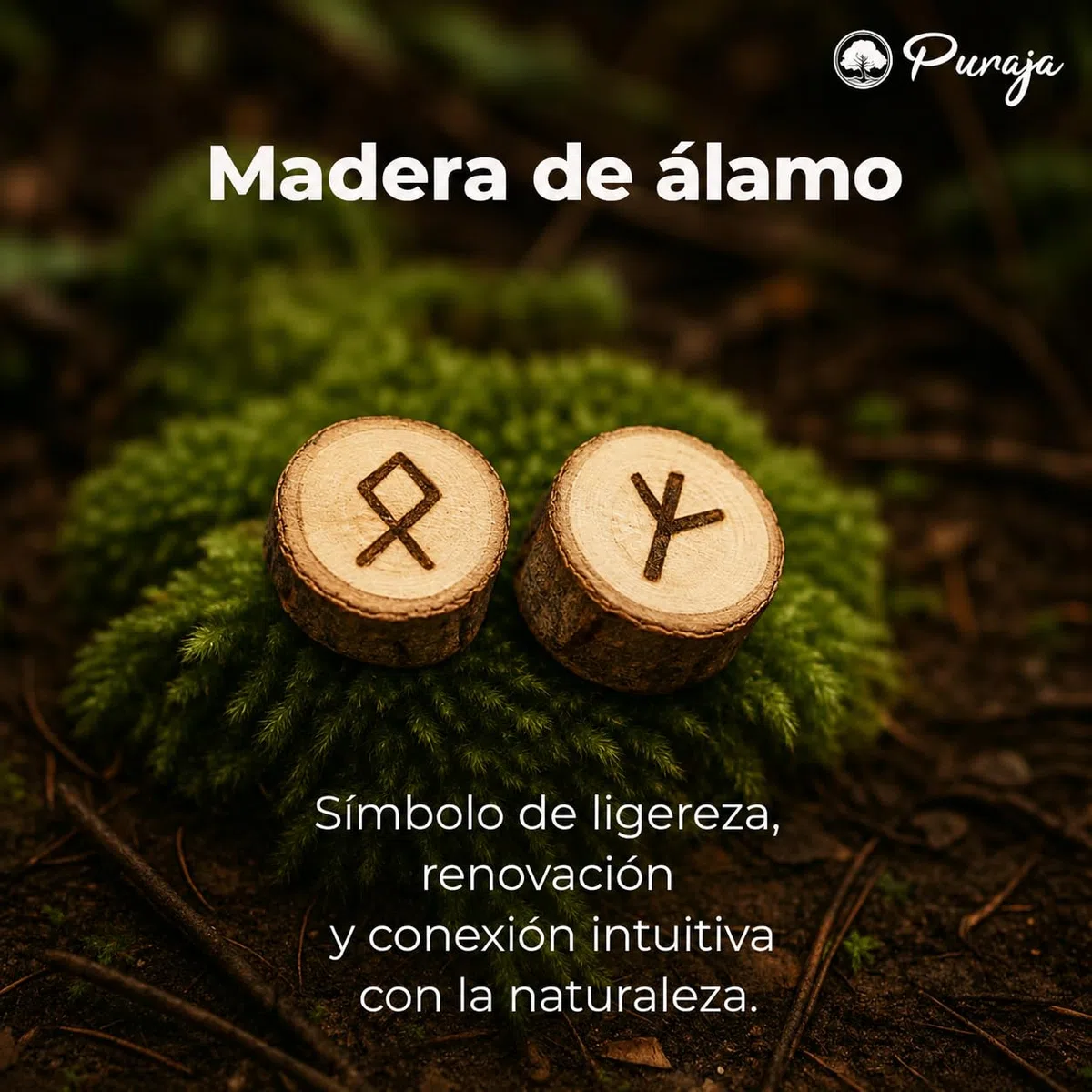 PURAJA Set di pietre runiche legno | Con alfabeto Elder Futhark | 25 pietre runiche in legno in un sacchettino di cotone | Set runico magico