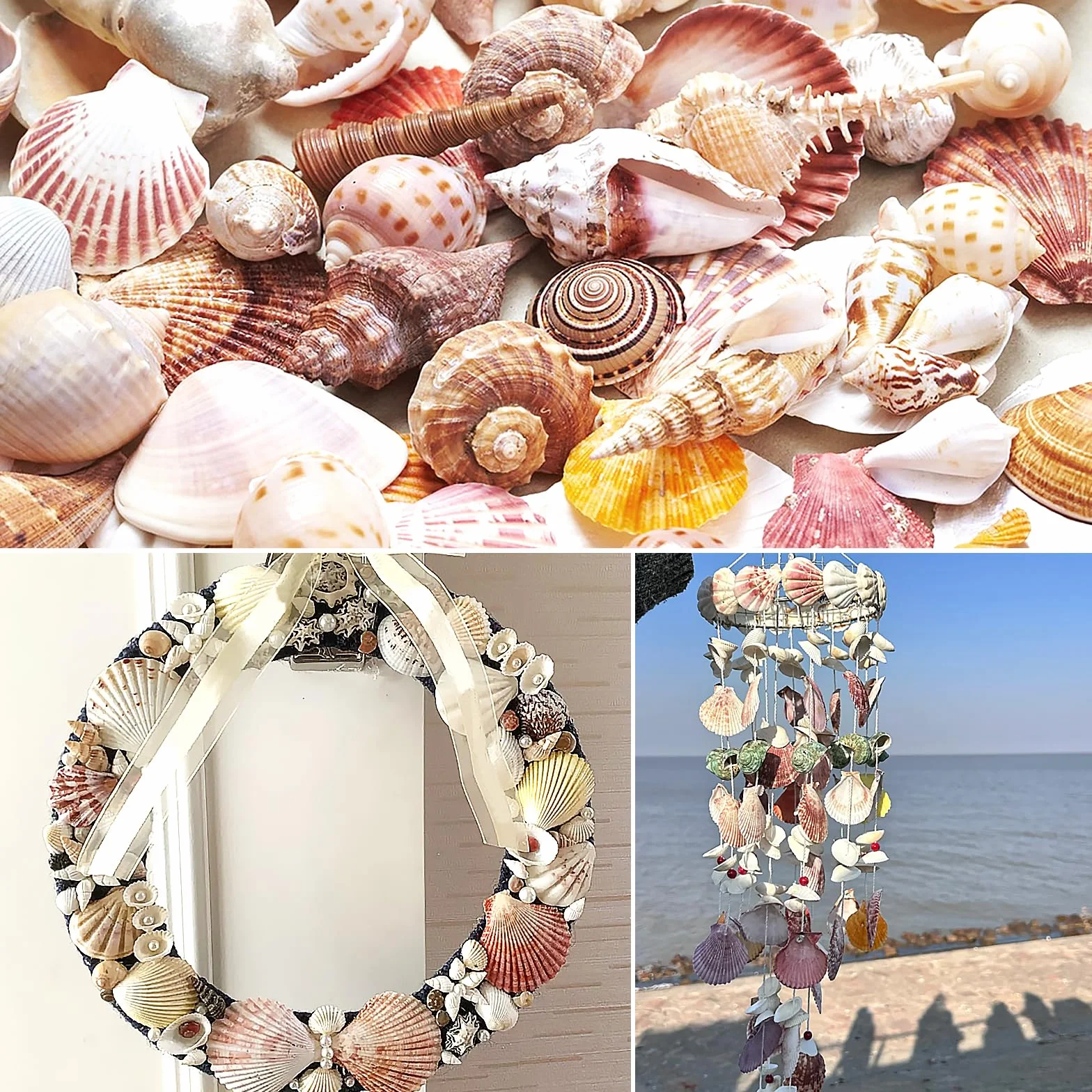 48 Pezzo Conchiglie di capesante Conchiglia Naturale, 3CM - 5CM Bianche e Rosa gusci di capesante Piccole Conchiglie per Decorazione di Nozze Beach Tema Party, Vaso Filler