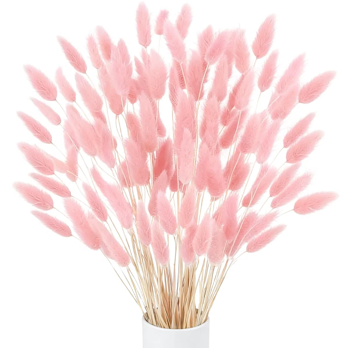 120pcs Fiori Secchi Decorativi Rosa Pampas Fiori Secchi Naturali Erba della Pampas Coda di Coniglio Fiori Secchi Pampas Decorative Fiori di Pampas per Casa Vaso Tavolo Festa