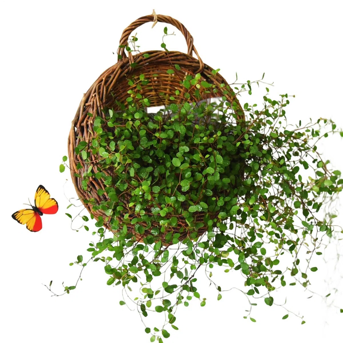 Cestino da parete in rattan, realizzato a mano, in vimini naturale, per giardino, matrimonio o decorazione per la casa, per appendere piante in fattoria, camera da letto, soggiorno