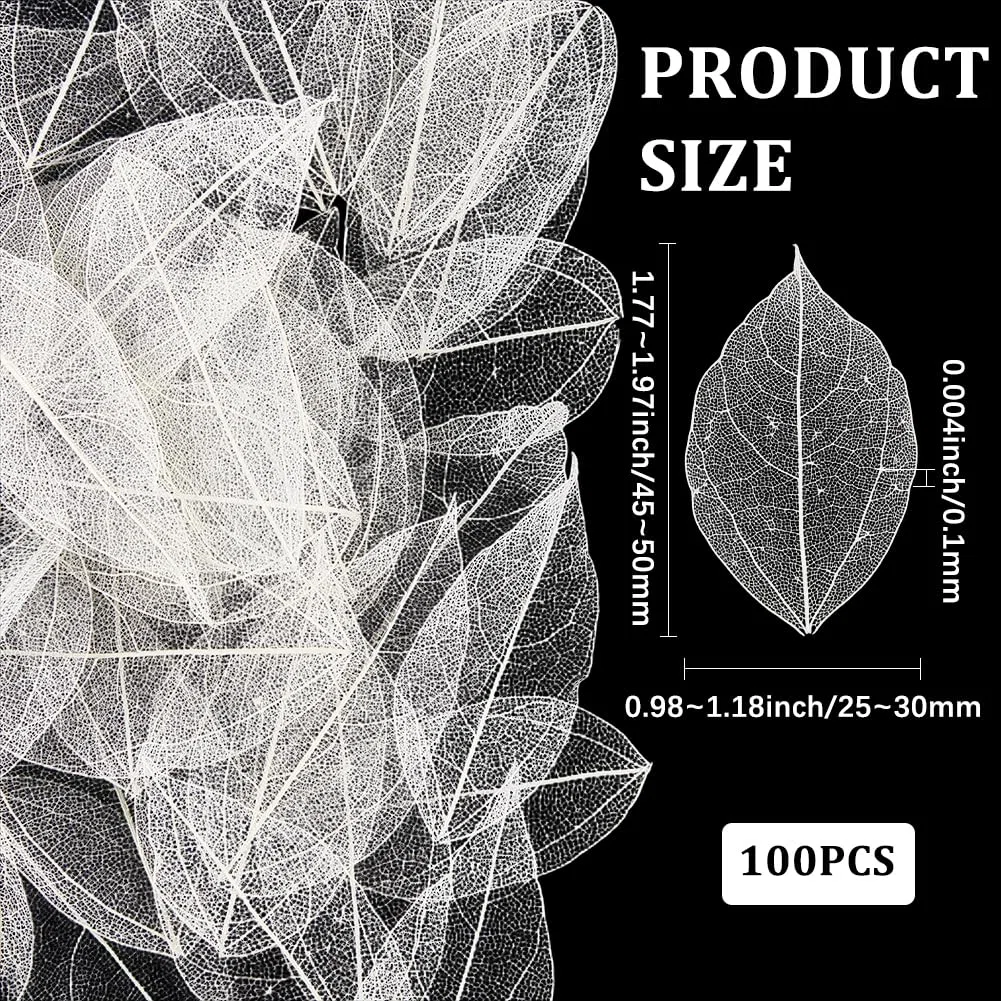 CRASPIRE 100 pz. Scheletro Naturale di Foglie di Ficus Religiosa 4.5-5mm Foglie Artificiali Bianche Foglie Essiccate Pressate Albero della Gomma Scrapbooking Biglietti Matrimonio Fai da Te