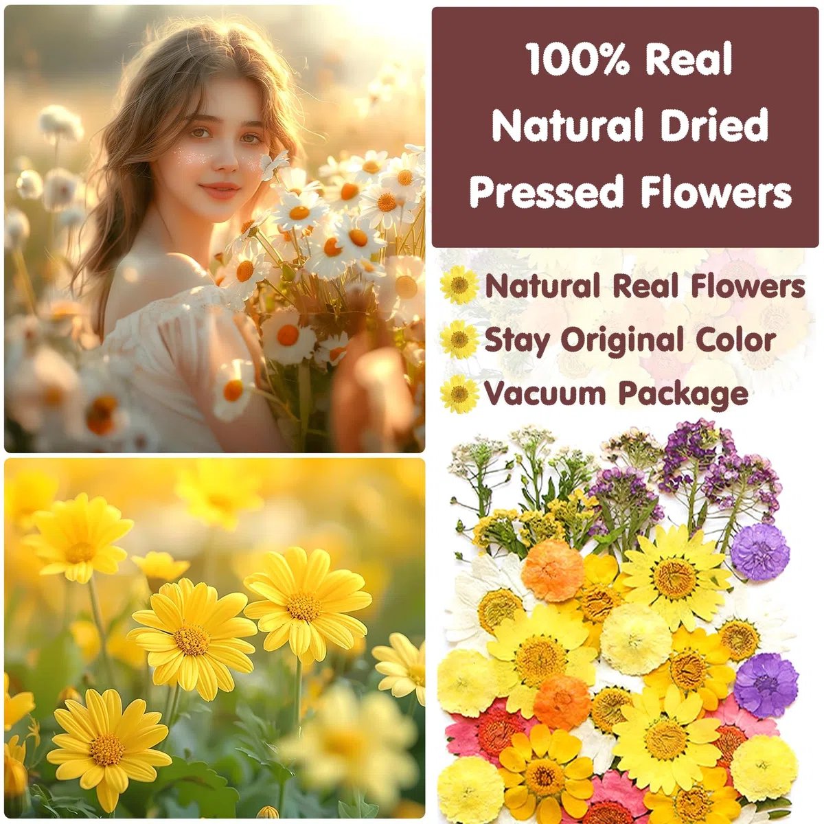Vautvi 159 Fiori Secchi Per Resina, Candele, Unghie, Decorazioni e Scrapbooking - Con Pinzetta, Veri Pressati, Composizione Fai Da Te