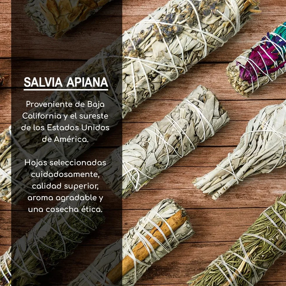 5 Salvia Bianca 10 cm Sacra da Bruciare, Erba di Purificazione e Armonia, Salvia Apiana 100% Naturale, Ideale per la Pulizia Spirituale e i Rituali Energetici