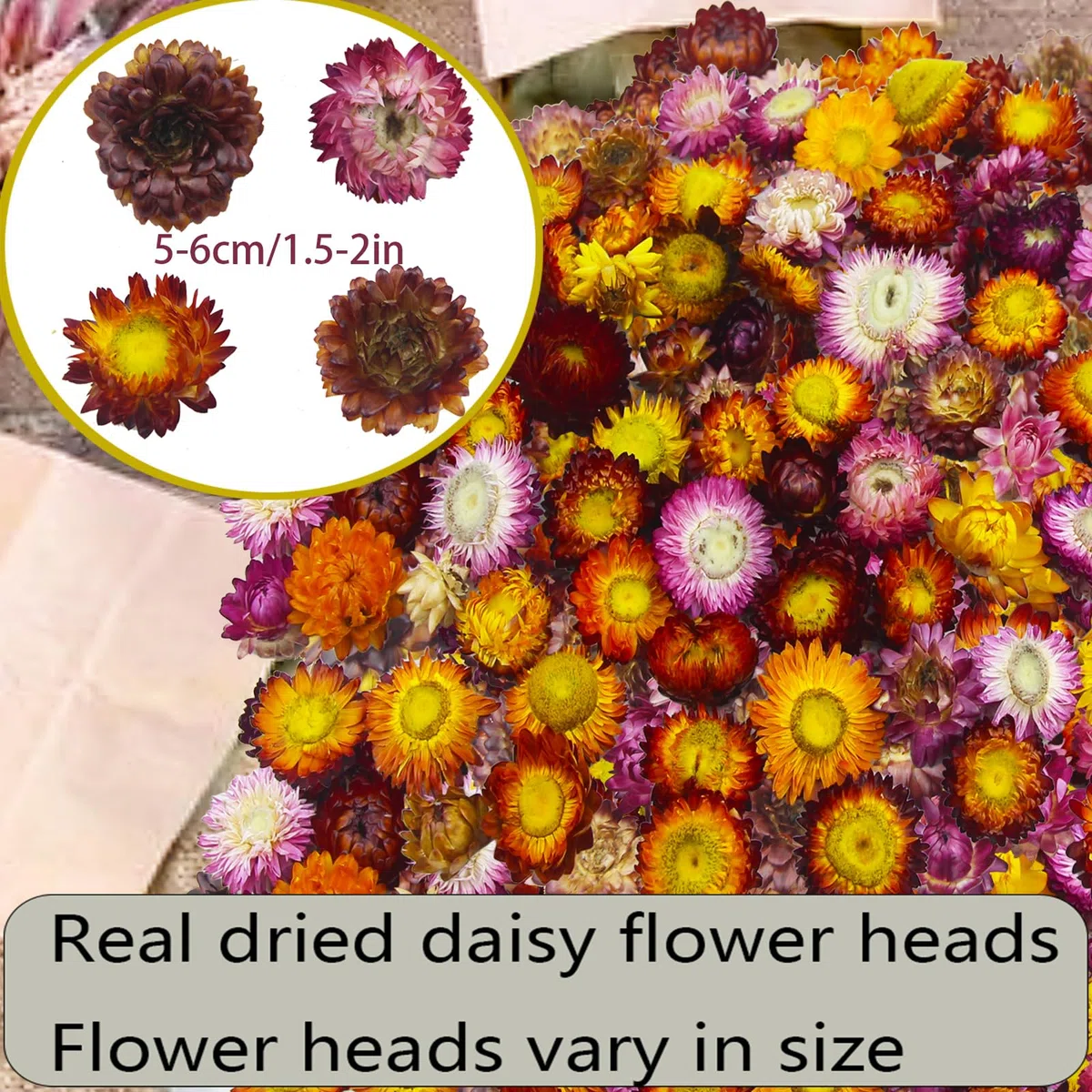 60 Pz Fiori Secchi Teste Fiori di Gerbera Crisantemo Naturale Vera Margherita Girasoli Composizioni Fiori Secchi per Decorazioni di Nozze Bomboniere Resina Candele Album Regalo Fai Da Te