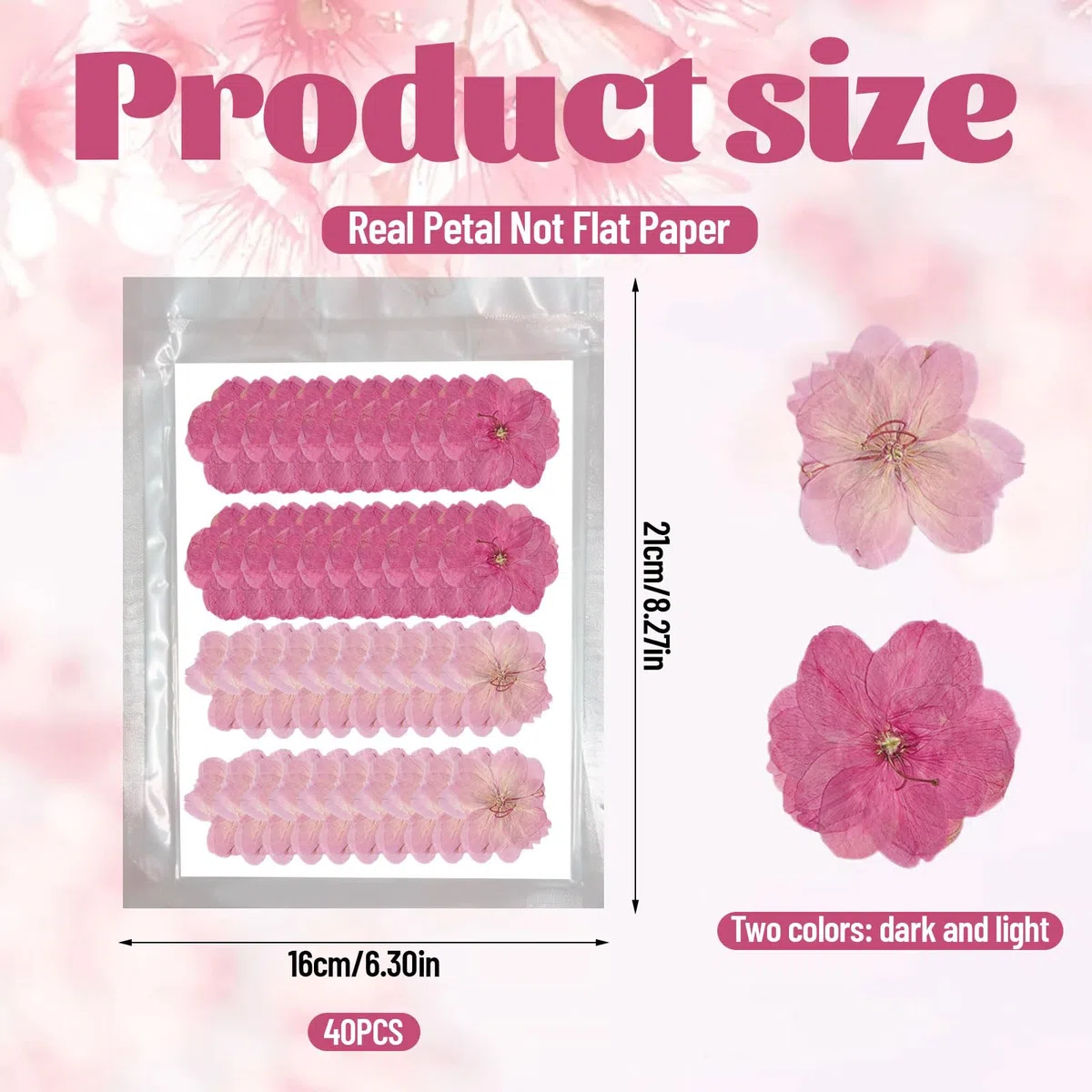 40 Pezzi 2 Tipi di Fiori Naturali Pressati Commestibili, Decorazione per Torte - Sakura, Fiori di Ciliegio per Cake Topper, Cocktail, Gioielli in Resina, Progetti Creativi Fai-da-Te