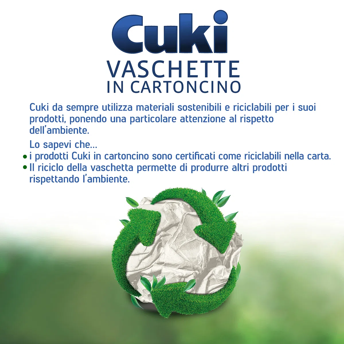 Cuki Vaschette in cartoncino con coperchi dal freezer al microonde - 4 porz - rettangolari [RC2] - 12 vaschette (Multipack)