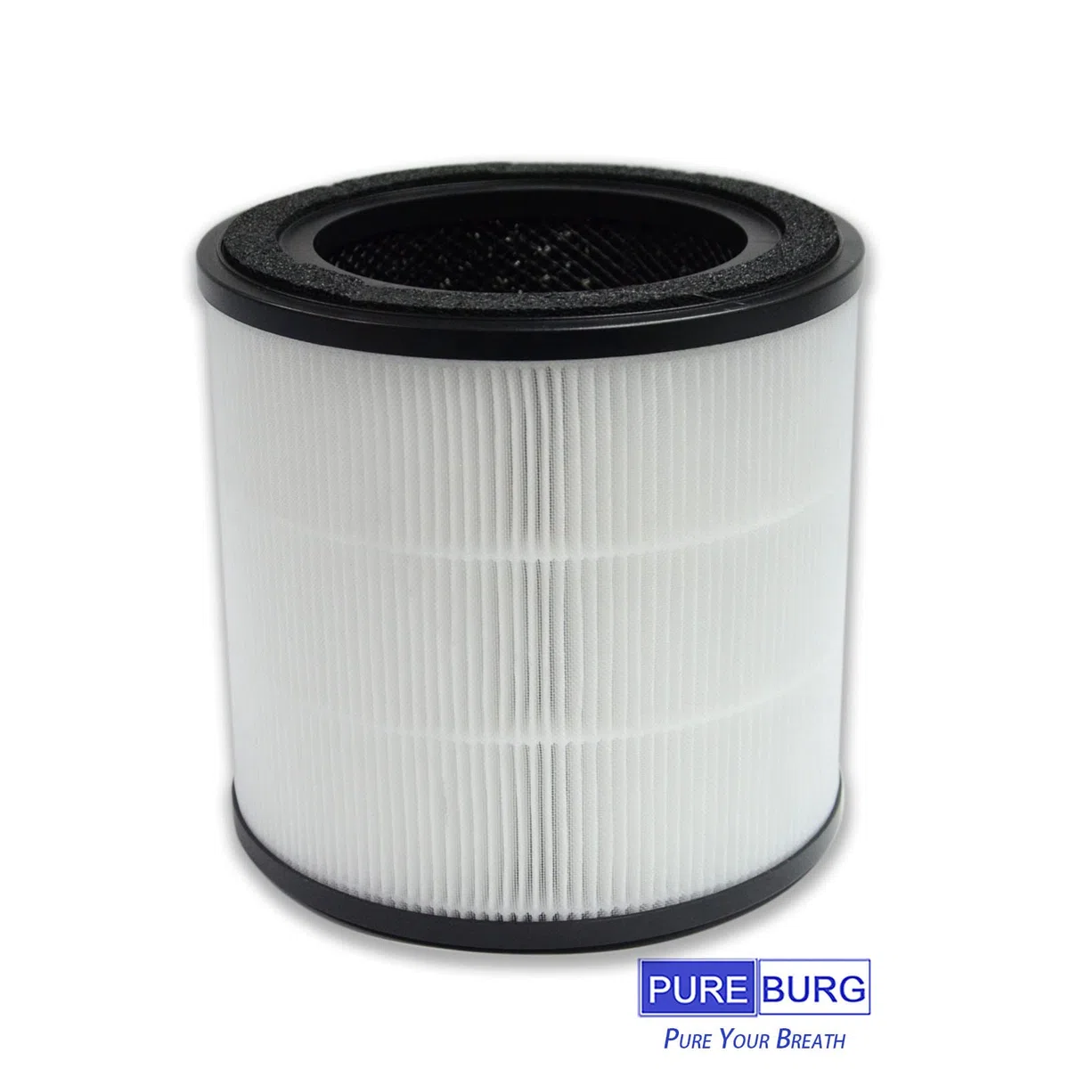 PUREBURG Filtro di ricambio compatibile con depuratore d'aria Bosch Air 2000, confezione da 2 pezzi H13 HEPA carbone attivo 2 in 1 3 livelli di filtrazione polvere VOCs odore