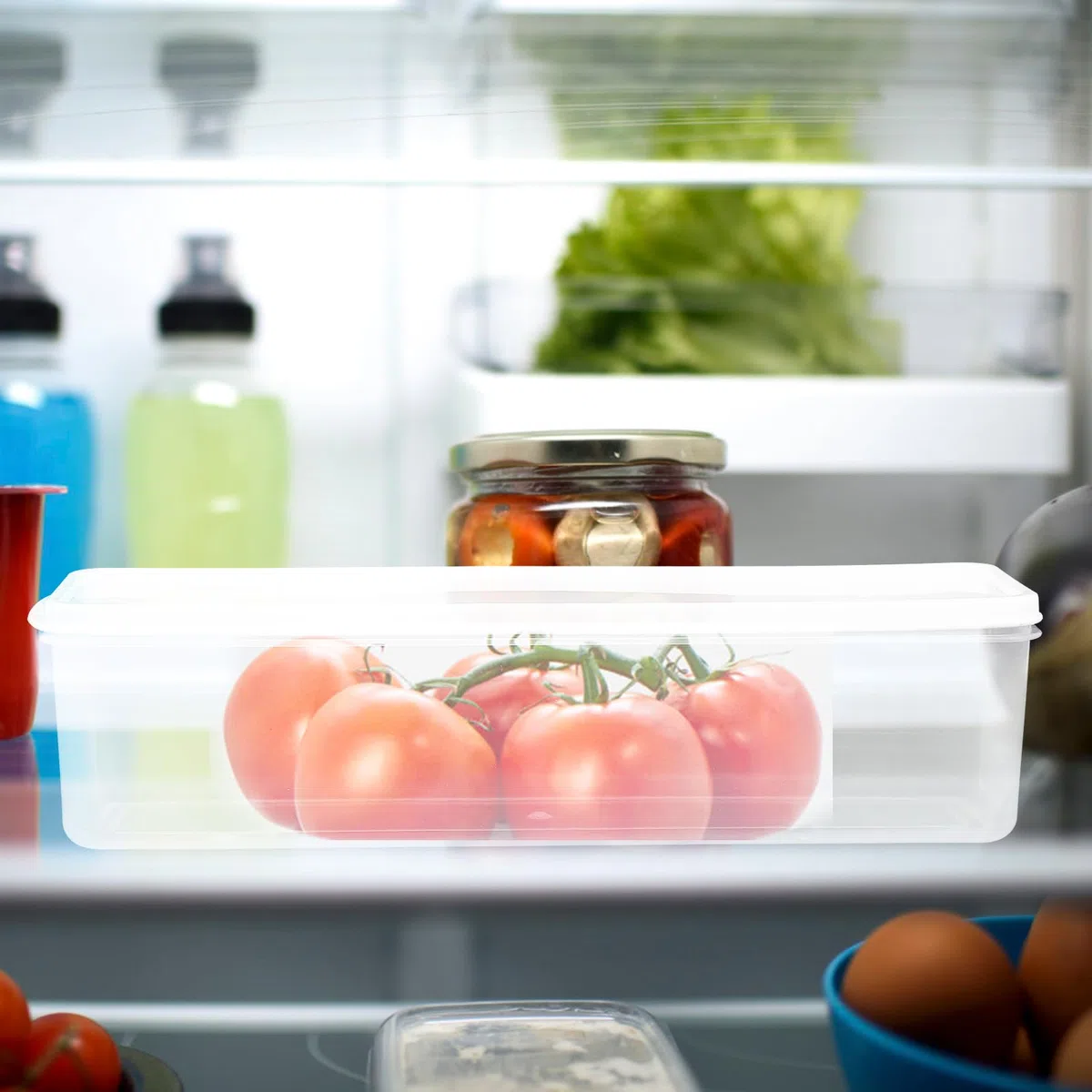 Zerodeko Scatola Di Organizzazione Del Frigorifero Per Noodle 12 Pollici Con Chiusura Ermetica Contenitore Per Alimenti Plastica Trasparente Per Cucina E Conservazione Cibi