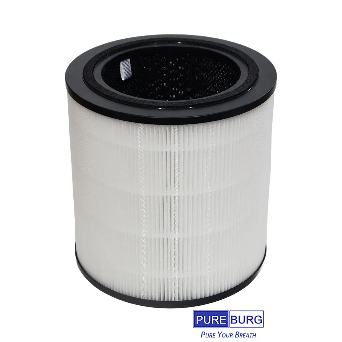 PUREBURG Filtro di ricambio compatibile con depuratore d'aria Bosch Air 4000, confezione da 2 pezzi H13 HEPA carbone attivo 2 in 1 3 livelli di filtrazione polvere VOCs odore