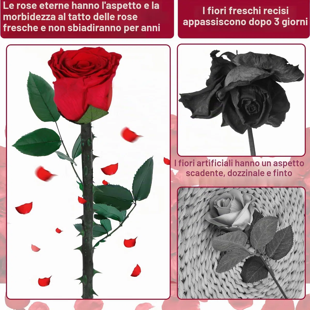 Rosa Stabilizzata Vera Rosa Eterna San Valentino per Lei, Regali San Valentino per Donna, Rose Stabilizzate San Valentino, Regali Mamma Fidanzata Moglie Sorella