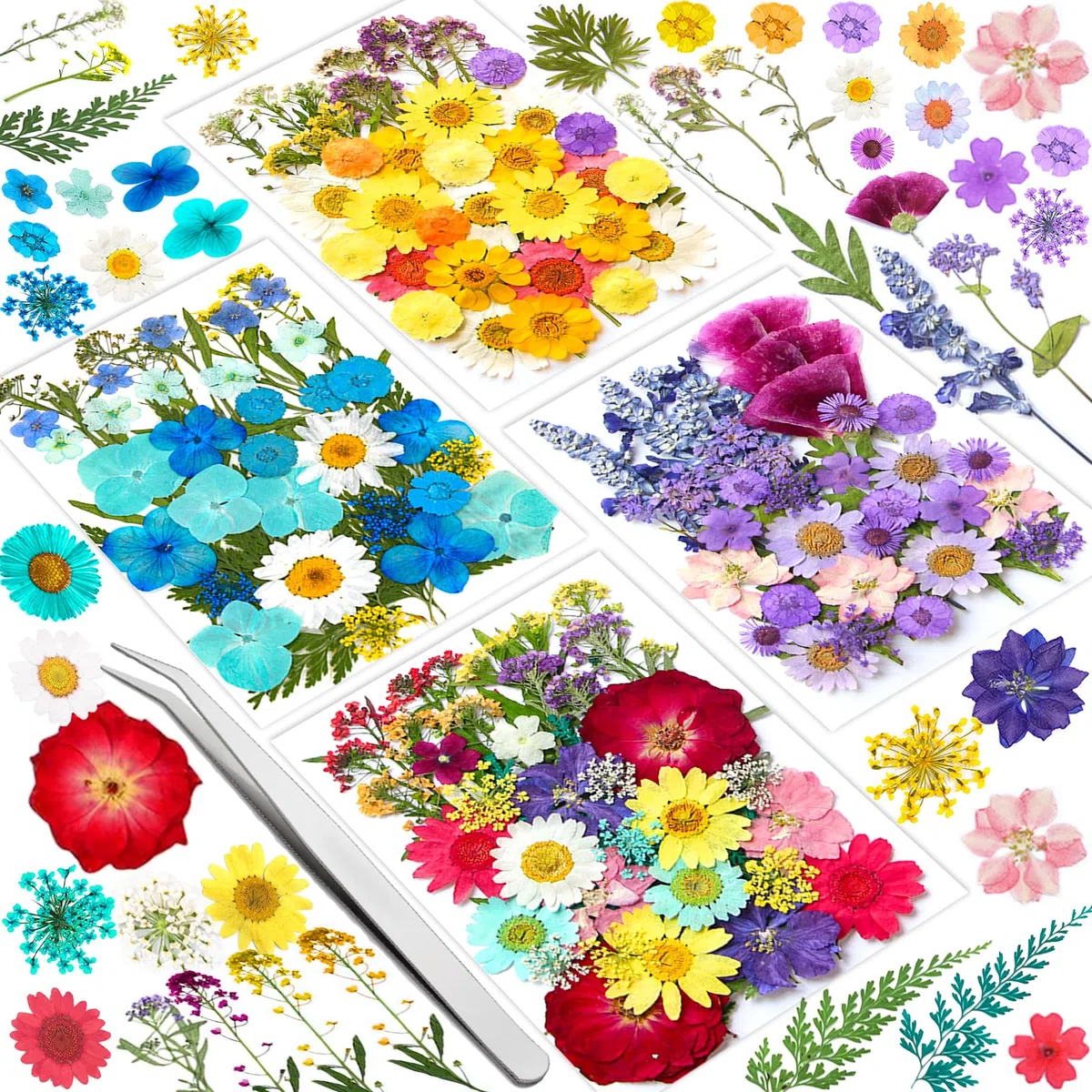 Vautvi 159 Fiori Secchi Per Resina, Candele, Unghie, Decorazioni e Scrapbooking - Con Pinzetta, Veri Pressati, Composizione Fai Da Te