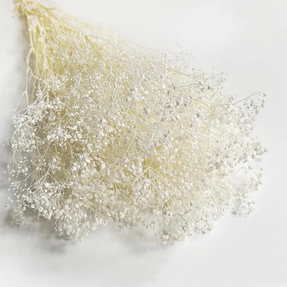 NatureMan Bouquet di fiori secchi per bambini, 43 cm, 100% Natrual Gypsophila ramoscelli per decorazione della casa, foto, accessori di scena e matrimoni, decorazioni fai da te (sbiancate)