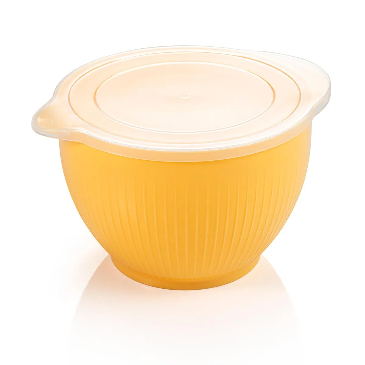 Tescoma 630383 Set 2 ciotole in plastica con coperchio, 3,4 l e 2,0 l